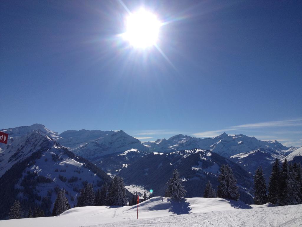 Vista Resort Hostel Zweisimmen Extérieur photo